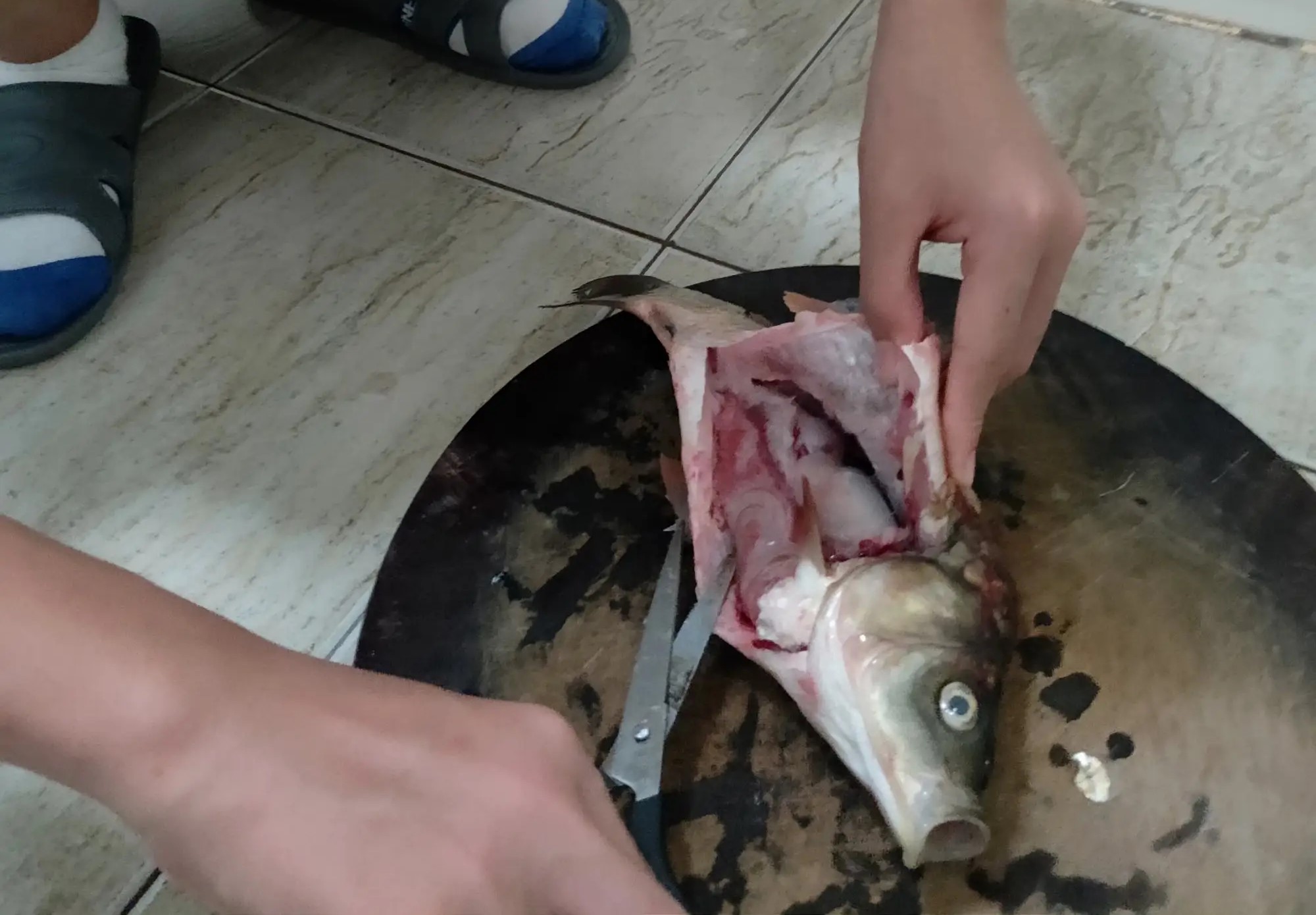 男子钓鱼宰杀后发现寄生虫,男子宰杀黑鱼