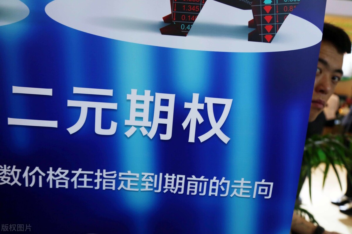 二元期权是什么,二元外汇期权是骗局吗