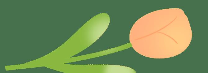 宝宝学走路有什么方法,宝宝学走路的方法有哪些