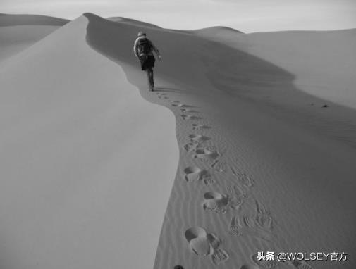 行走的人形音箱,电子卫星实时精准导航器