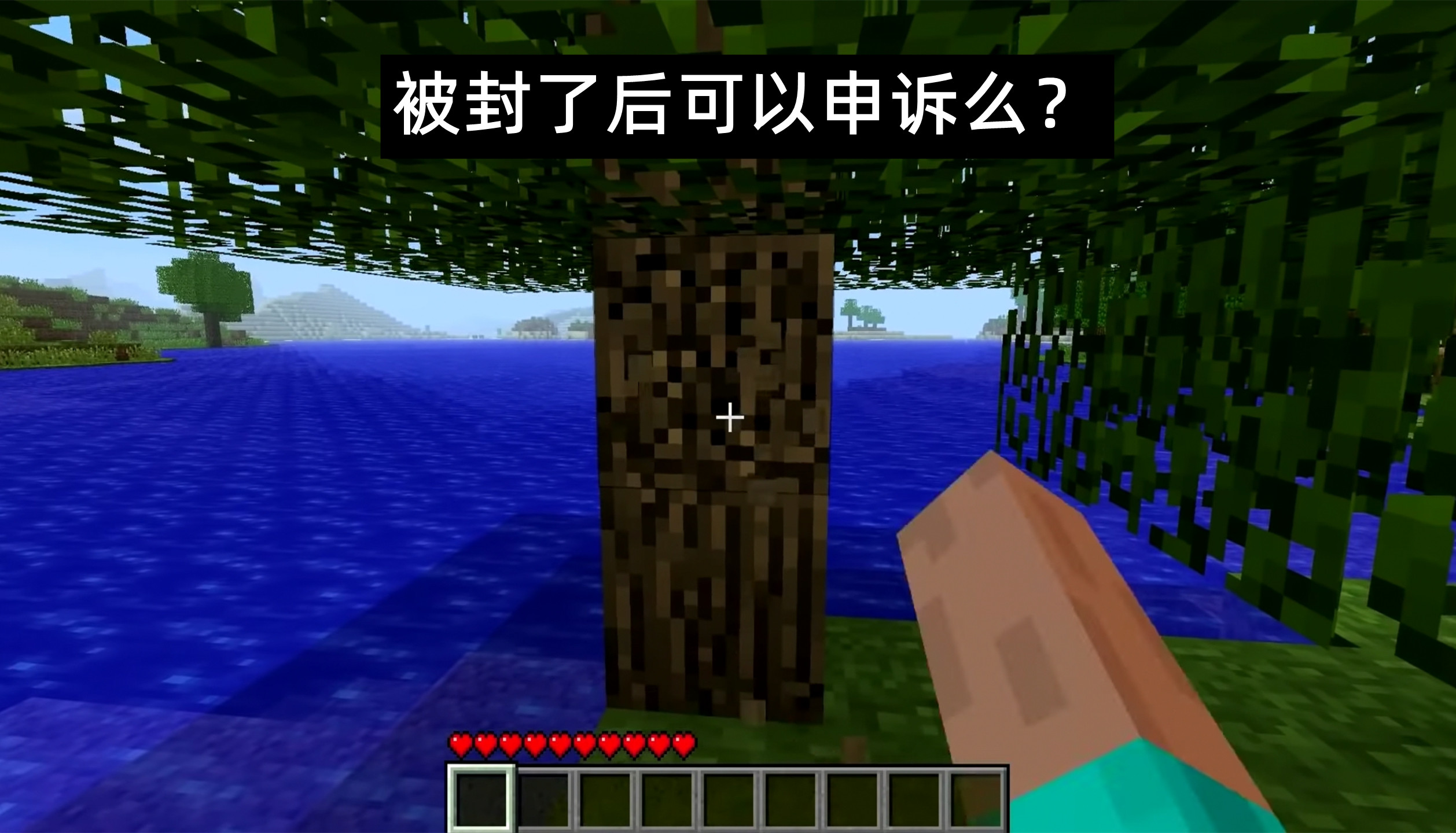 您已被永久禁止登录游戏,您已被永久禁止进入游戏怎么解决