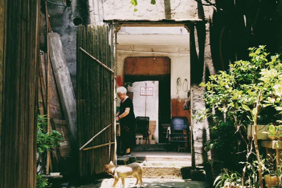小上海特色美食推荐,小上海美食很出名