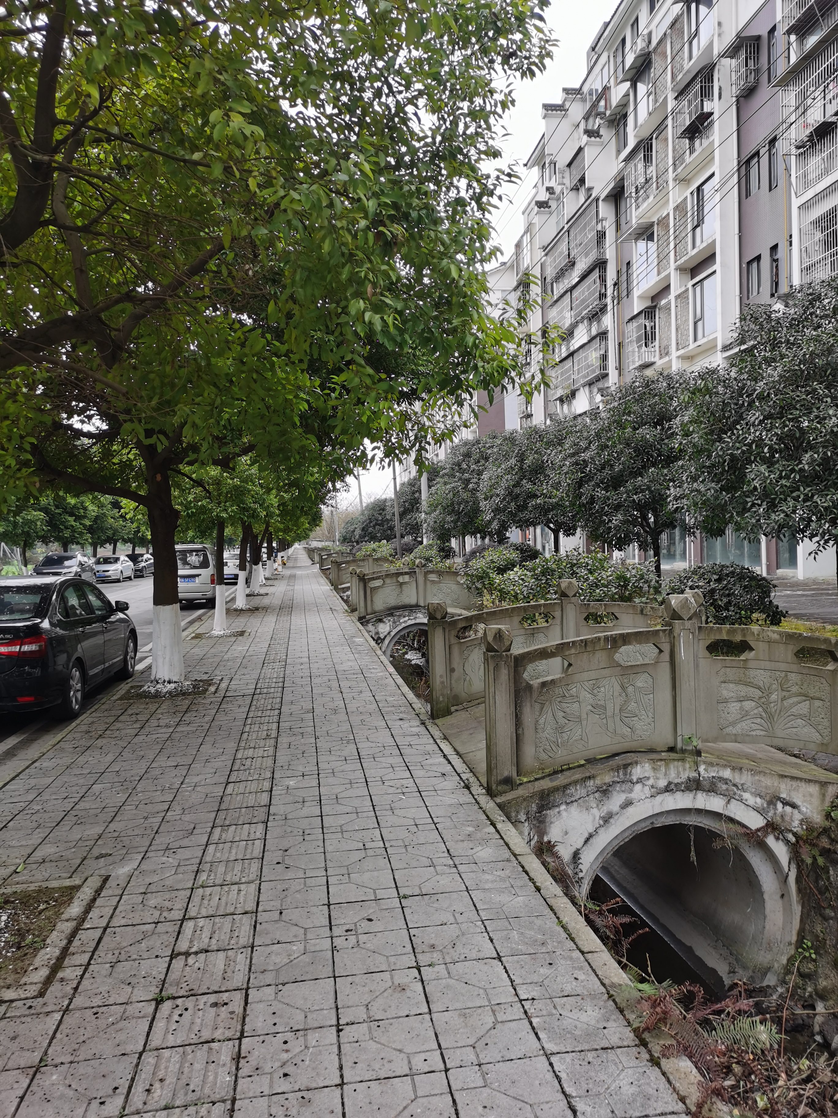 郫县古城遗址游玩攻略,成都之行圆满结束