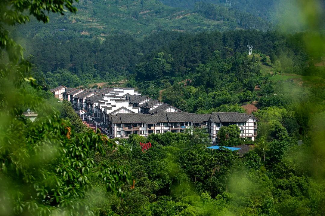 重庆乡村振兴示范村名单,重庆乡村一日游哪些地方好耍