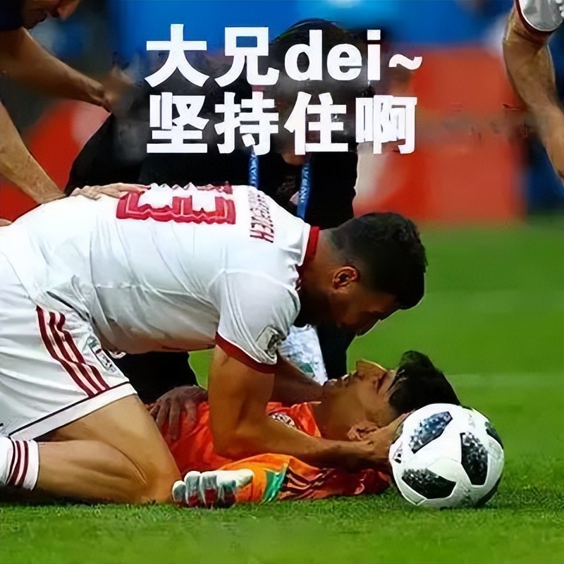 世界杯激战赛场,世界杯激战正酣