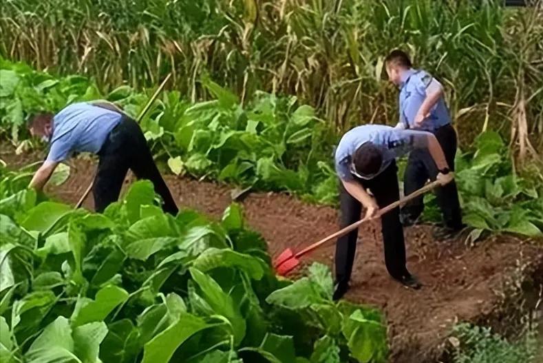 我们可以派城管农管专家去海上对越界美海军执法