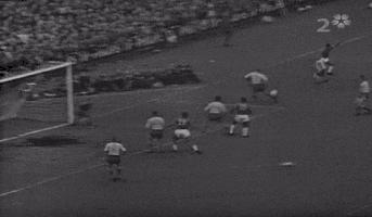 球王贝利巴西足球传奇,世界公认的三位球王