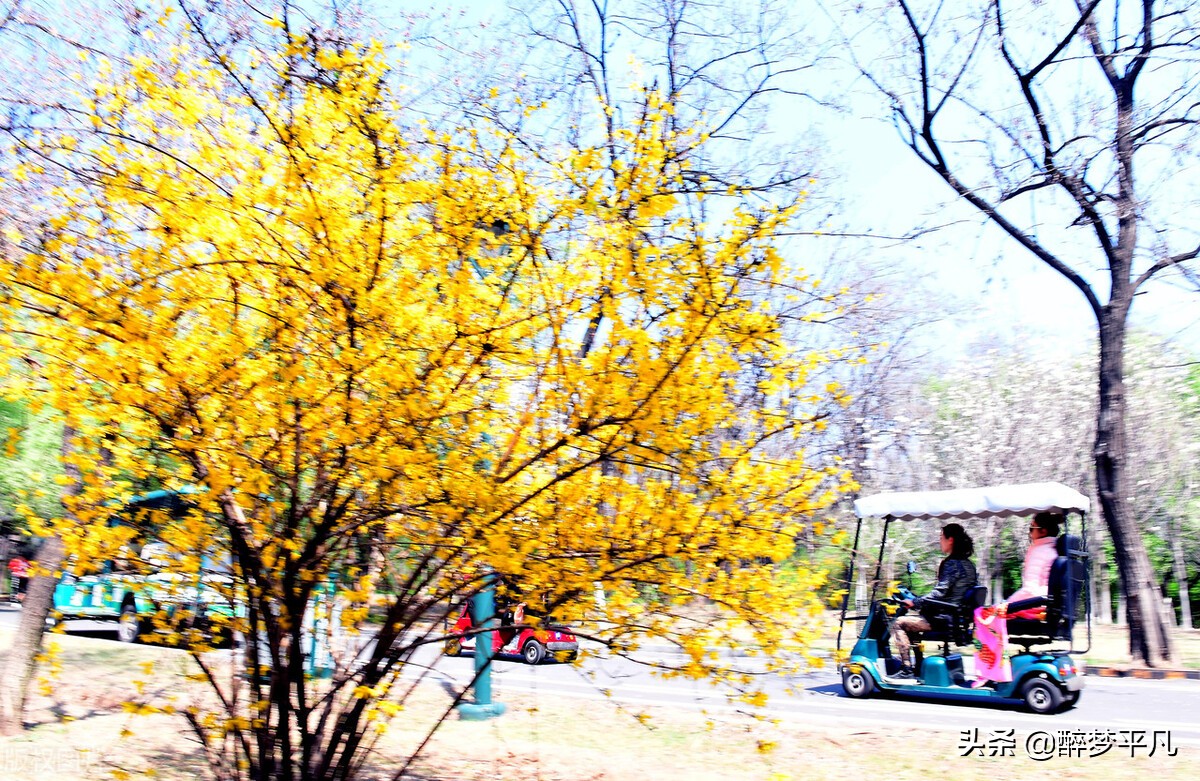 沈阳植物园沈阳世博园,沈阳世博园和植物园区别