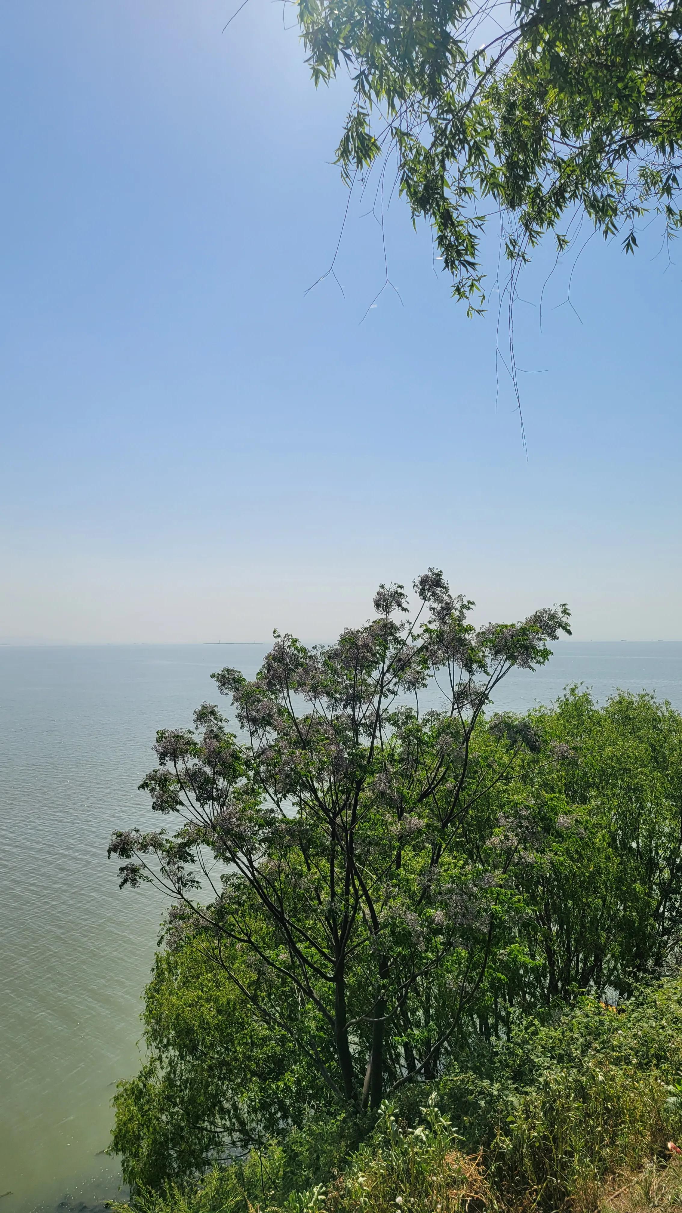 鑻忓窞澶фˉ缇庢櫙,鑻忓窞澶фˉ椋庢櫙