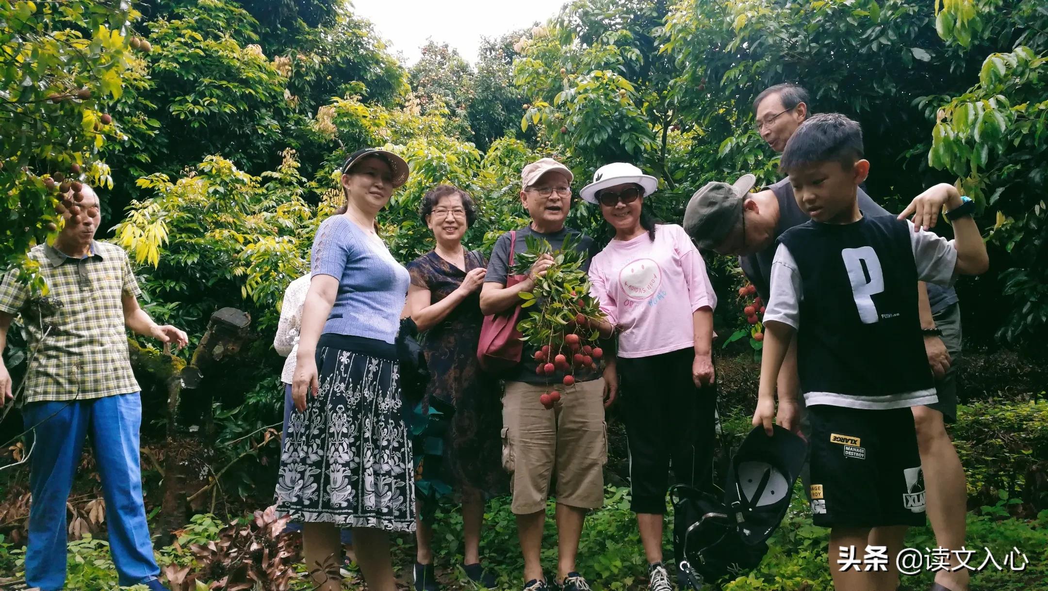从化区南平静修小镇简介,南平静修小镇旅游文案