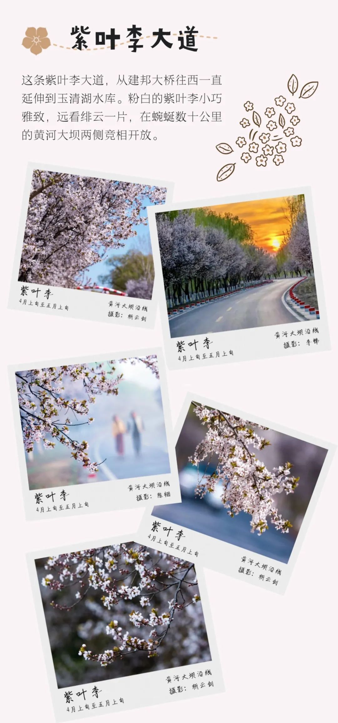 踏青济南攻略,济南黄河边春游攻略