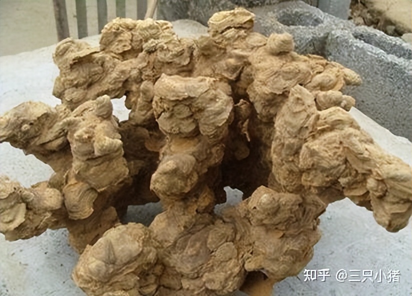 太行山奇石,太行山奇石造景