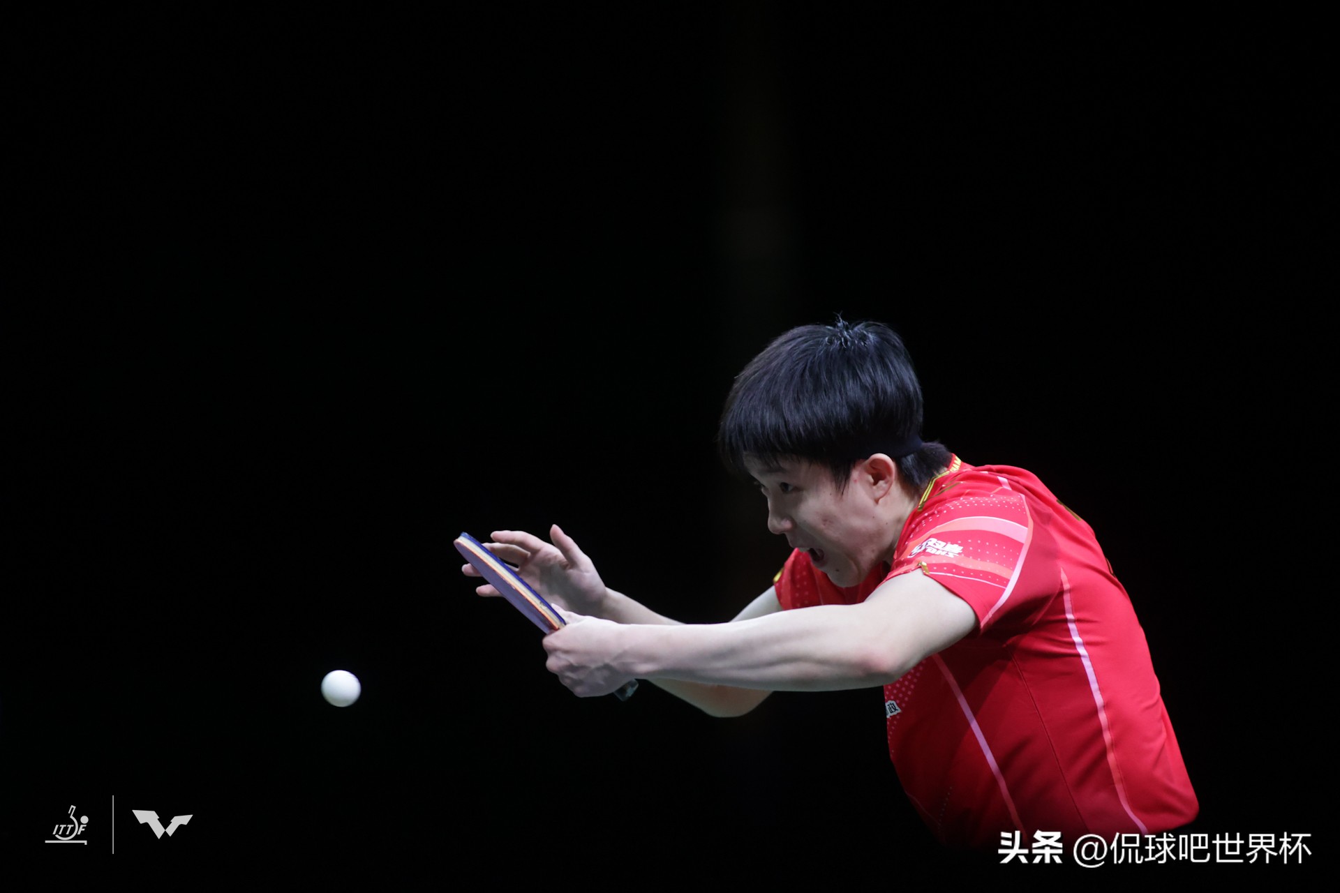 世乒赛最大黑马进决赛,世乒赛欧洲黑马战胜张本智和