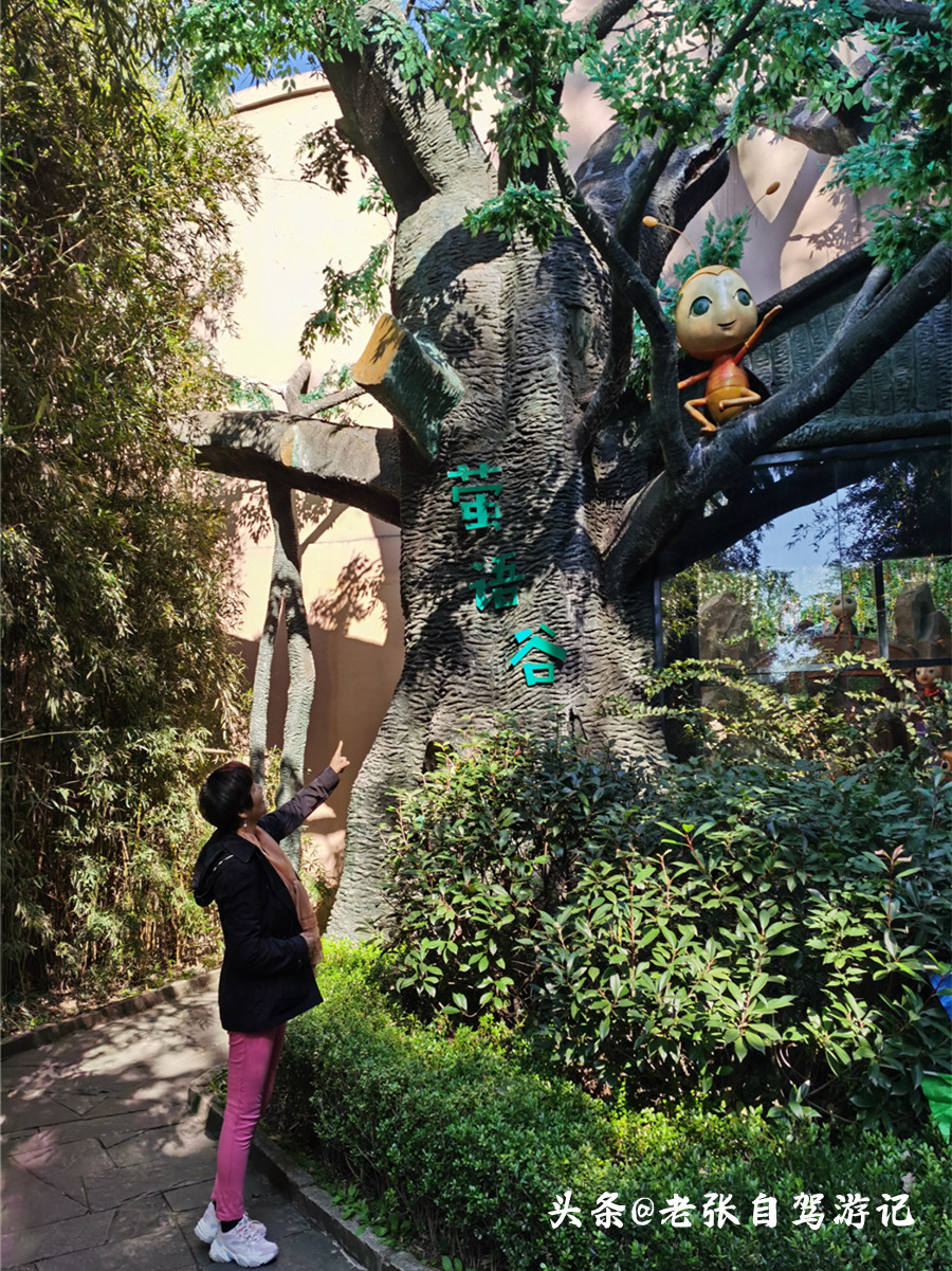 山东最低调5a旅游景区,山东旅游最值得去的十个景点排名