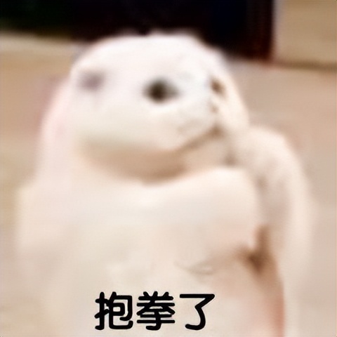 逛完小米直播间，我还以为我穿越了