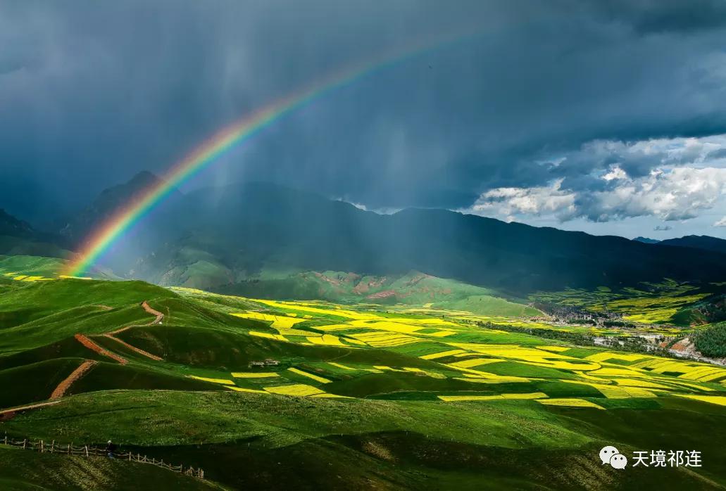 青海祁连山哪个位置最好,祁连山为什么一面森林一面草原