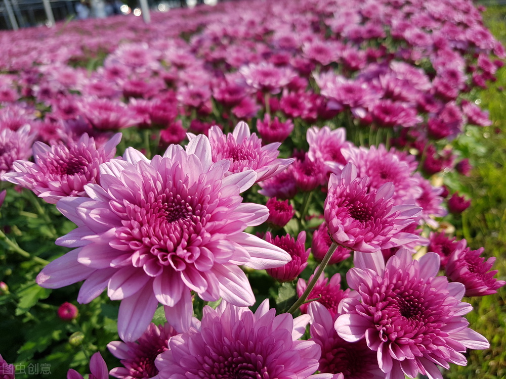 郭进栓汝州,郭进栓