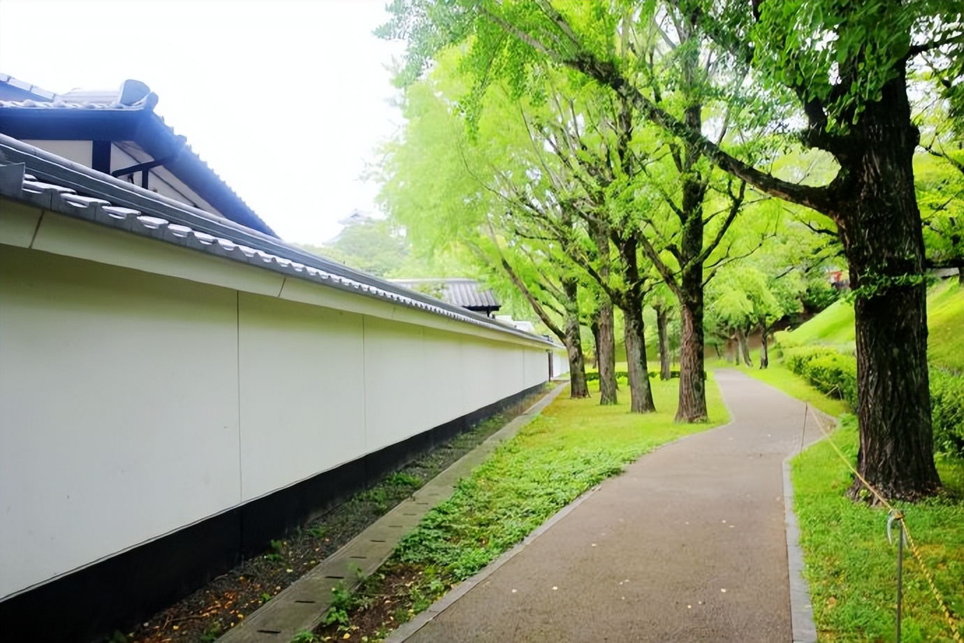 带孙女出去看世界,带着孙女看世界