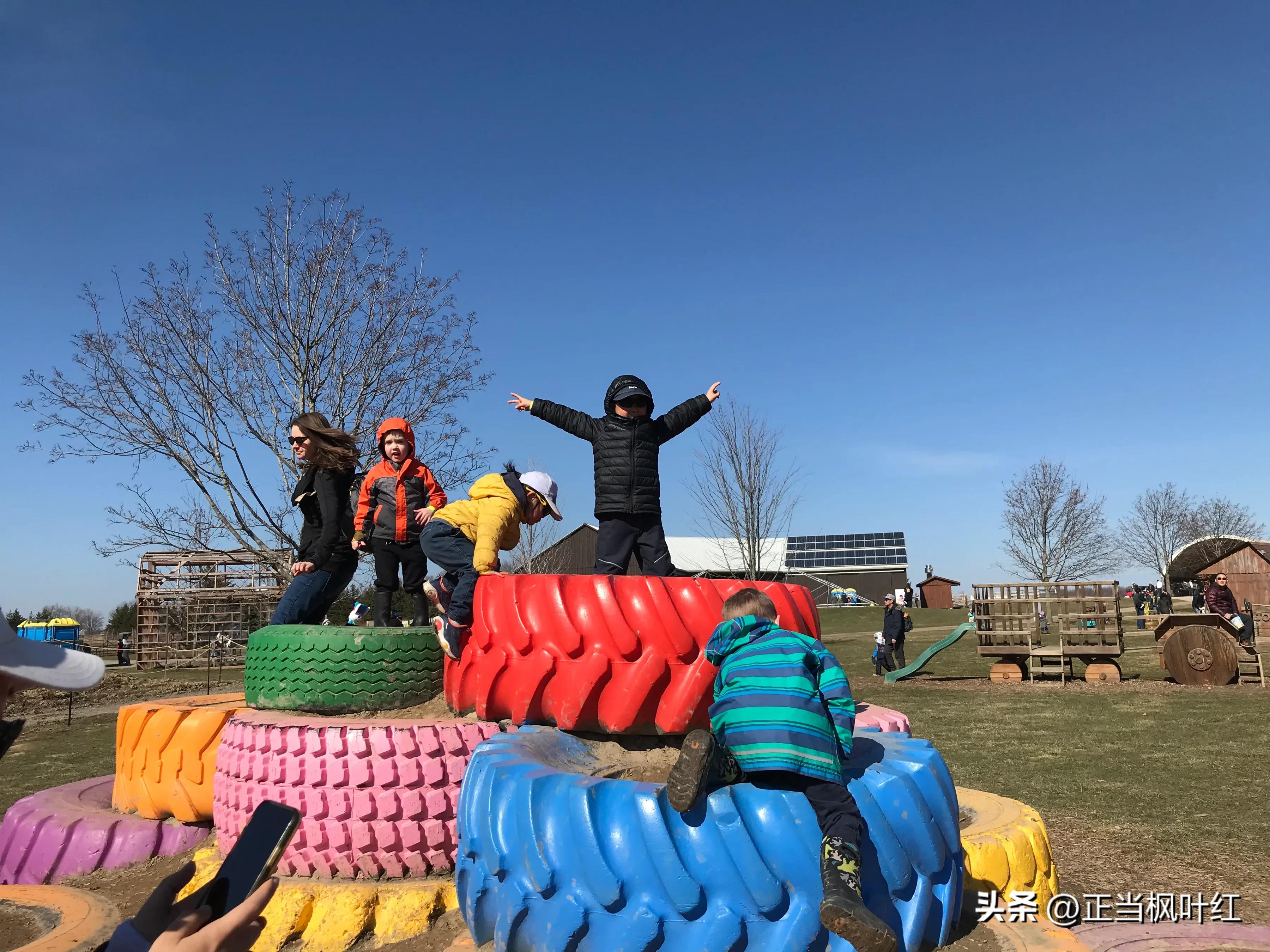 中国姥姥回国,中国姥姥真实一天视频