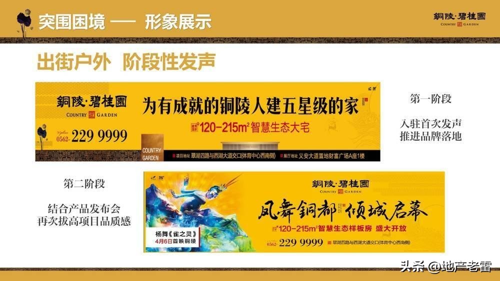 碧桂园房地产竞品分析,碧桂园房地产价格策略