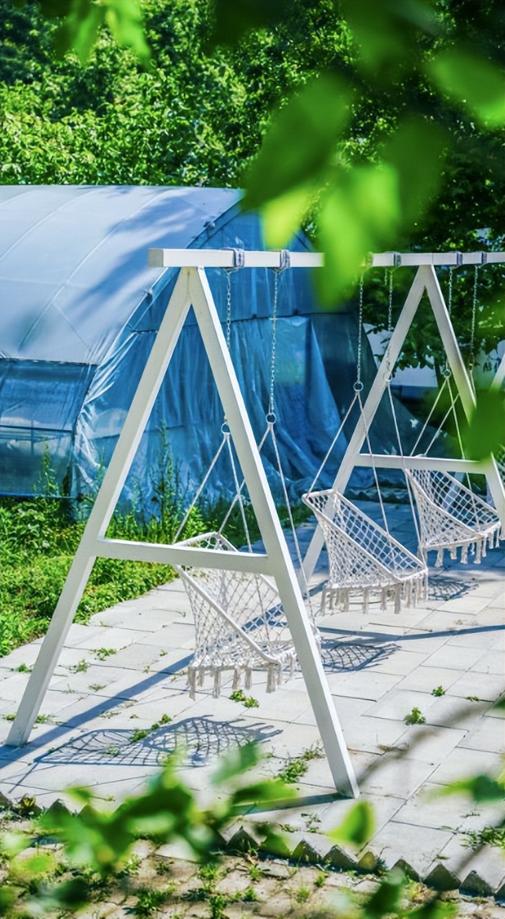 亲子周边游一天自驾游,亲子周边游去哪里