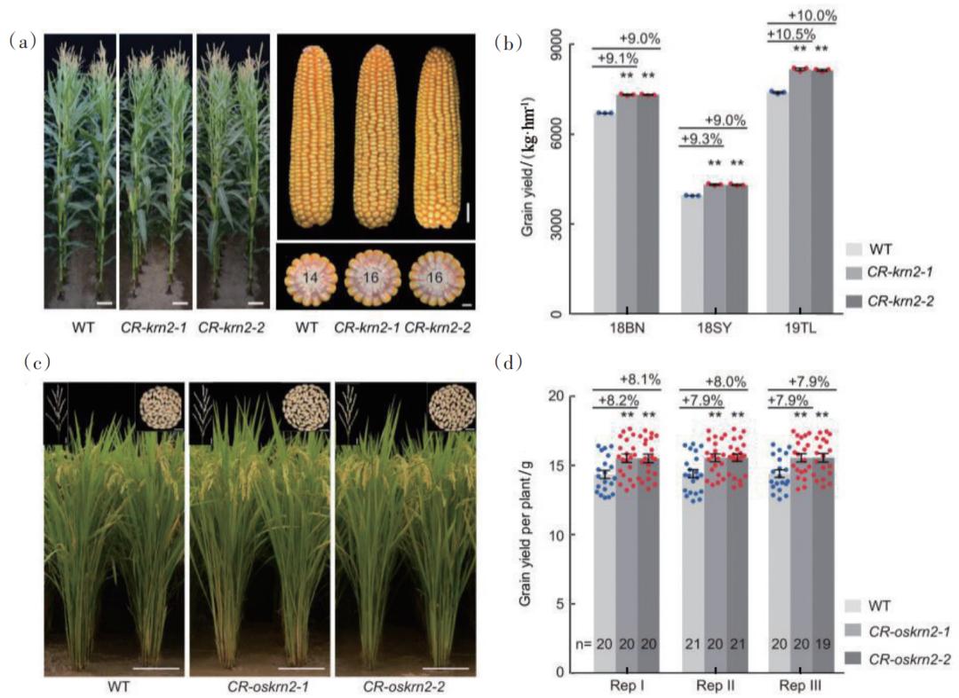 2022年中国重大科学、技术和工程进展|科技导报