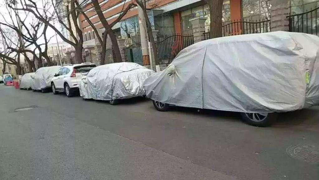 开口闭口就要绝纯燃油车的命，你考虑过这两种人的感受吗？