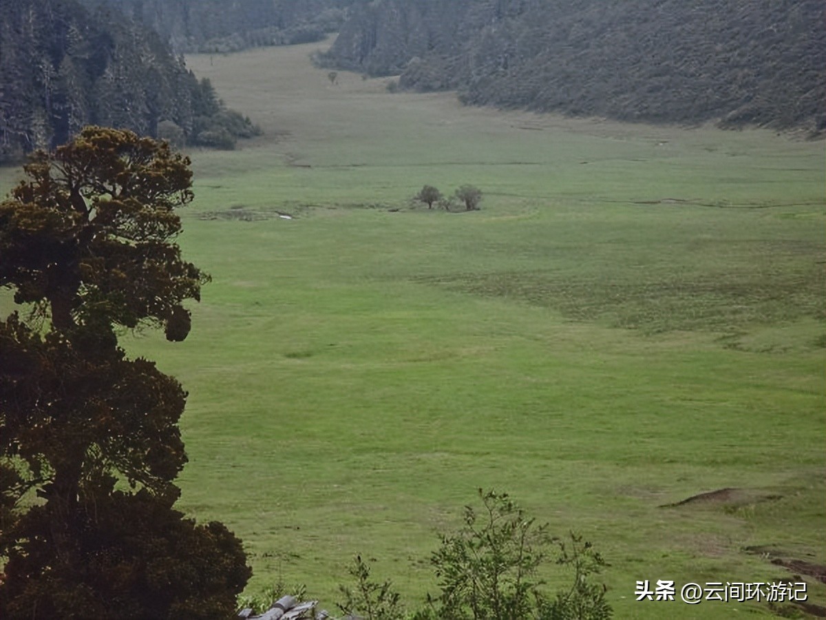 「一根风花雪月的鸡毛」（云南丨昆大丽香）