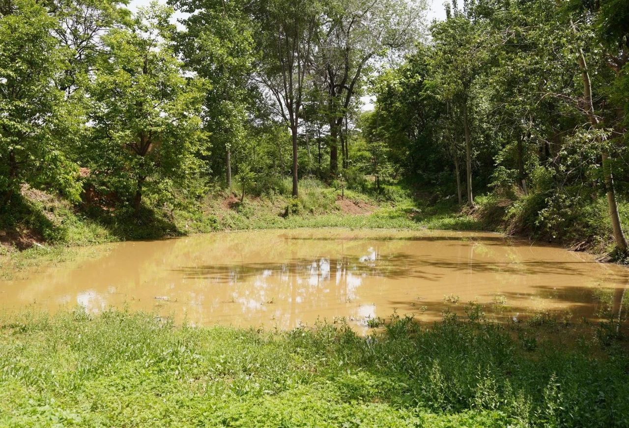 迷雾重重的古墓,迷雾中探寻千年古村落