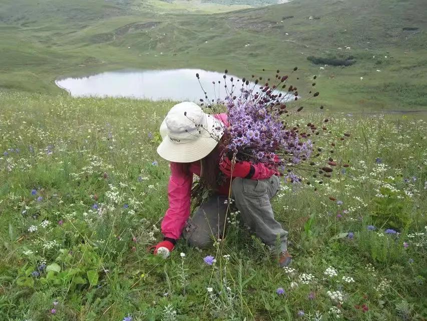 户外俱乐部论坛,经典户外论坛