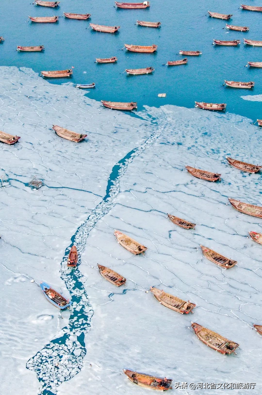 现在海鲜哪种最好吃,现在的海鲜哪个最好吃