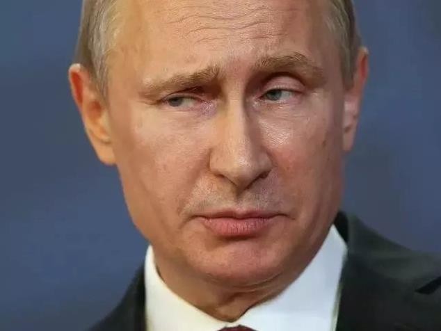 迷人小老头普京：当特工时接头都要迟到，曾牵着狗会见日本代表