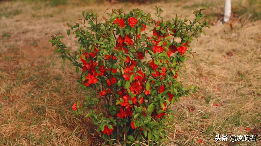 共赴春之约携手新征程,共赴春天之约携手砥砺前行