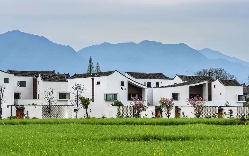 乡村振兴庭院案例,美丽庭院庭院经济助力乡村振兴