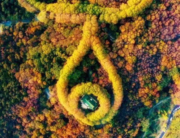 南京美龄宫在哪个景点,南京游玩攻略景点美龄宫