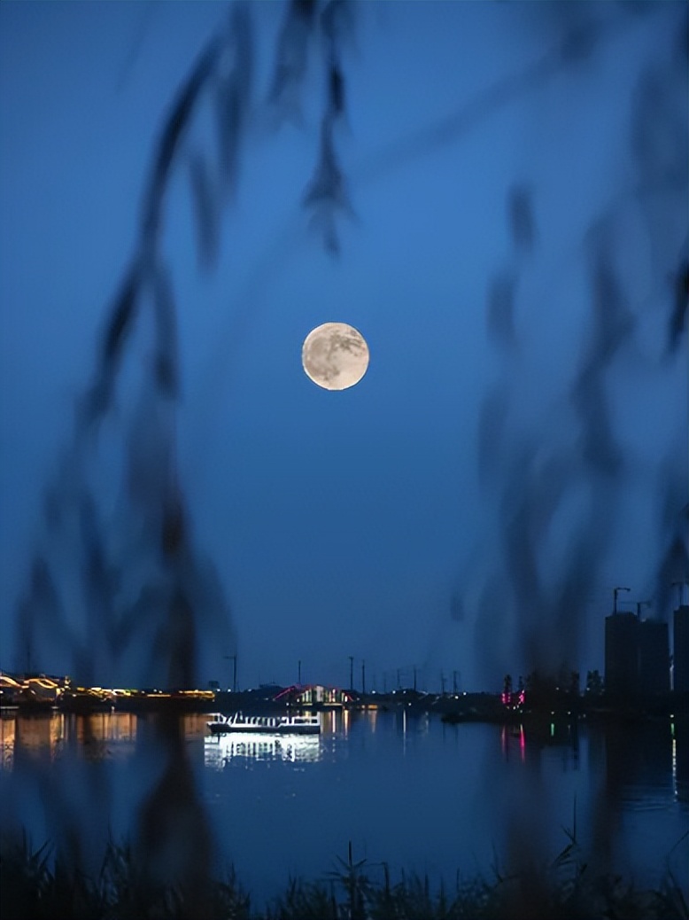 《月夜》古诗词鉴赏6篇,月夜的诗词有哪些表达了什么情感