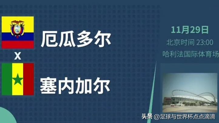 世界杯ab组出线分析预测,2022世界杯小组赛全场