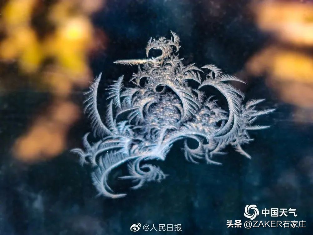 早新闻11.12|石家庄正太饭店对外开放；供暖初期，“暖心贴士”请收好；一图看懂进一步优化防控的二十条举措