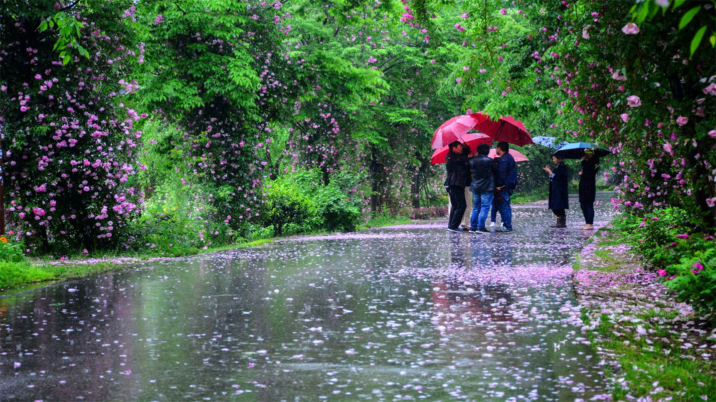 春情春思春景赏，春思春念春日长