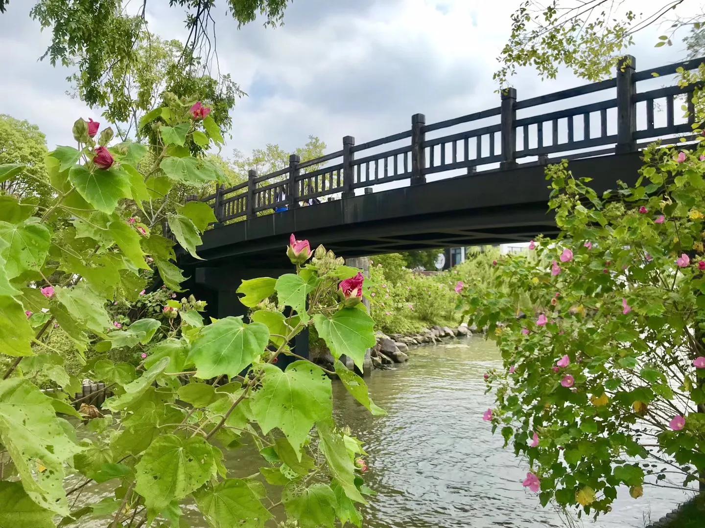 原创|重温网课时光:停课不停学,网课初体验(学生优秀习作)