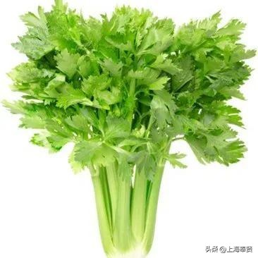 孕妈必吃的6种冠军蔬菜,怀孕后孕妈们必吃的七种营养蔬菜