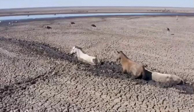 极端高温,灾难的开始…该如何拯救