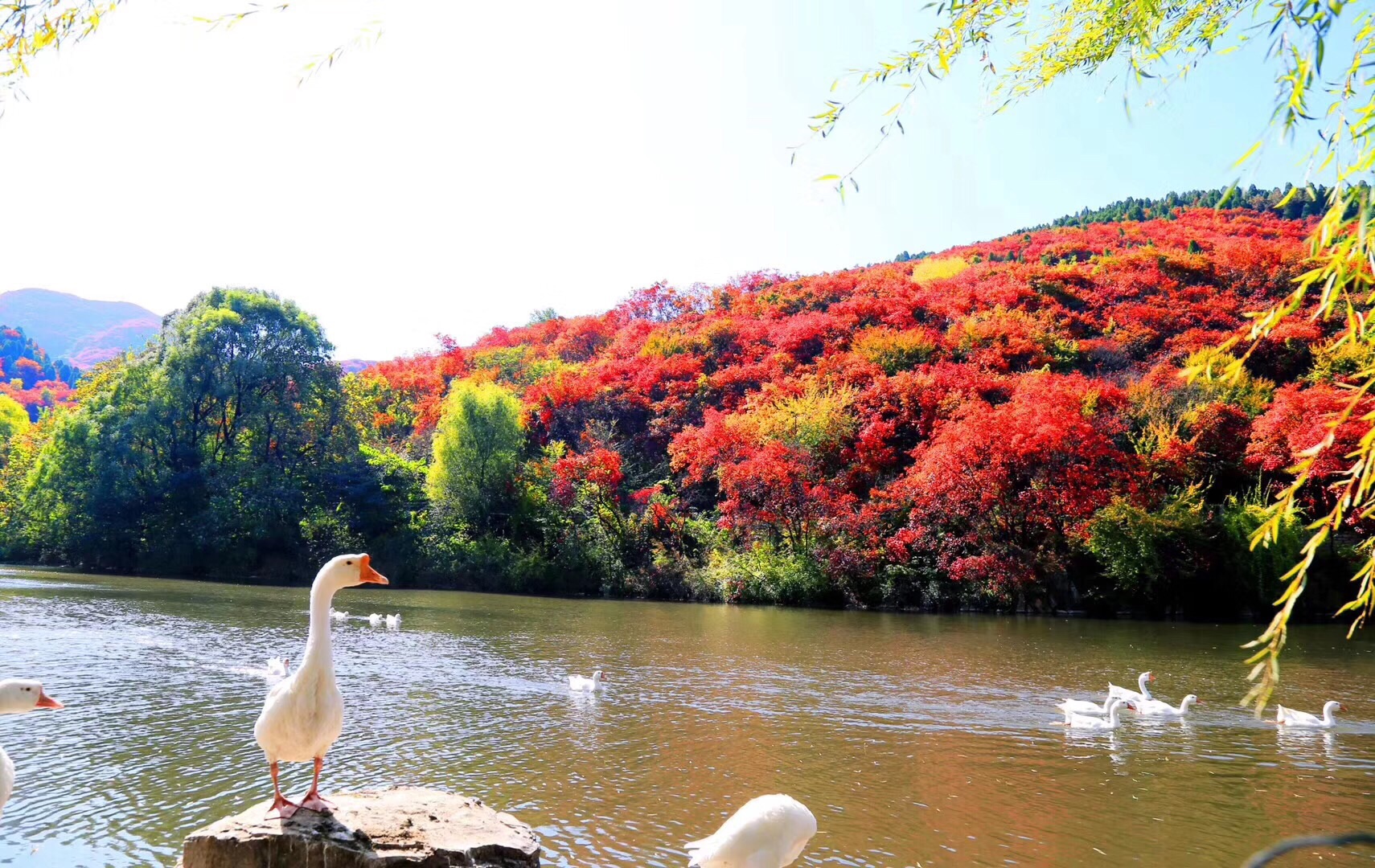 济南值得推荐的休闲好去处,济南都有啥好地方