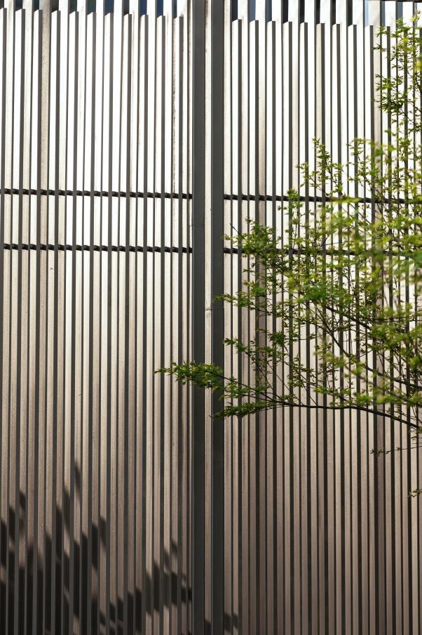 春日花事全屏,春日花事