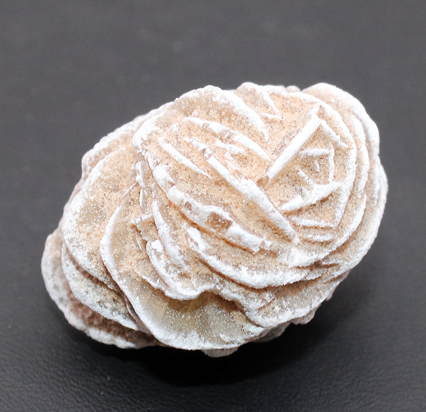 沙漠玫瑰原生地景观,沙漠里的沙漠玫瑰奇特景观