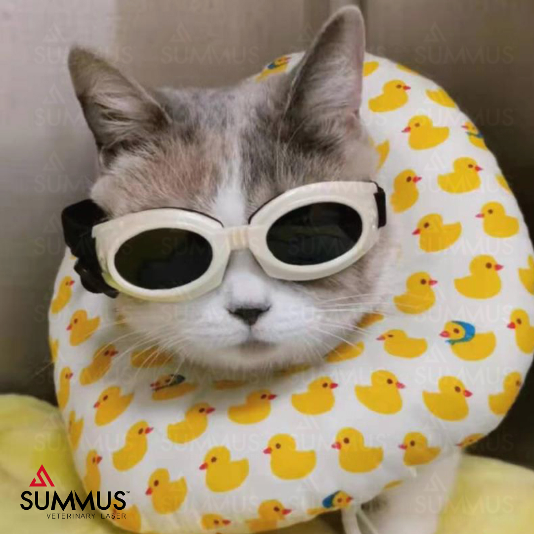 无痛无创疗法，更多医院的选择，SUMMUS全系列产品你喜欢哪个？