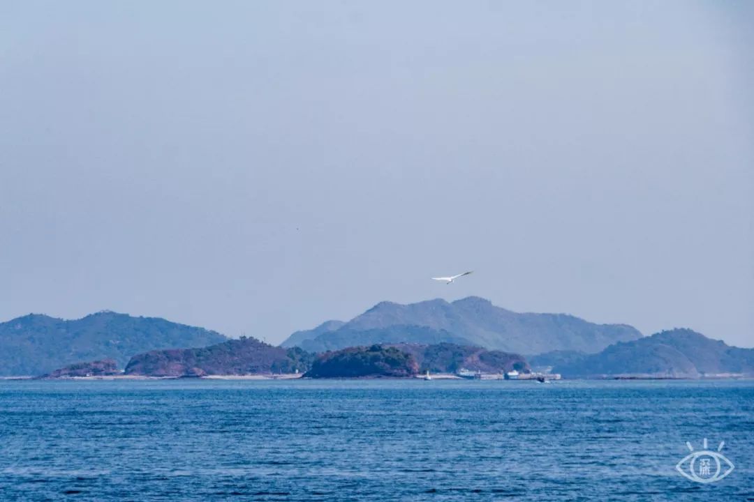 深圳一日游必去的地方,深圳吃货必去的地方