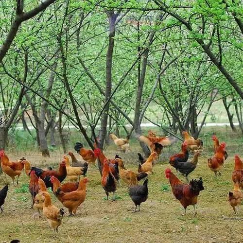 40岁不想打工做什么生意好,40岁不想打工做什么好呢