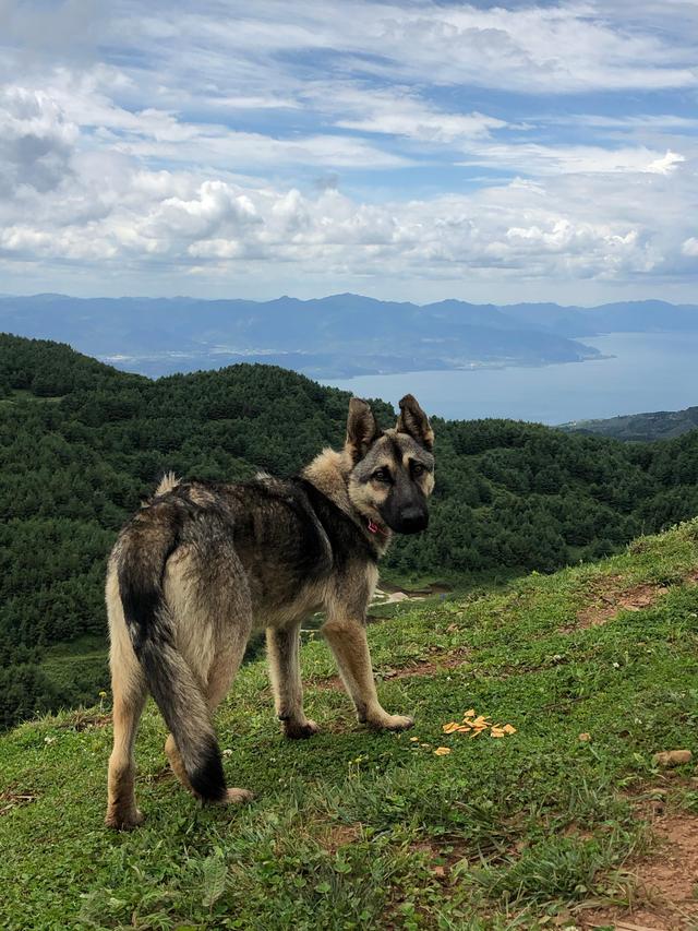 云南玉溪高山风景区,玉溪一小时车程的旅游景点