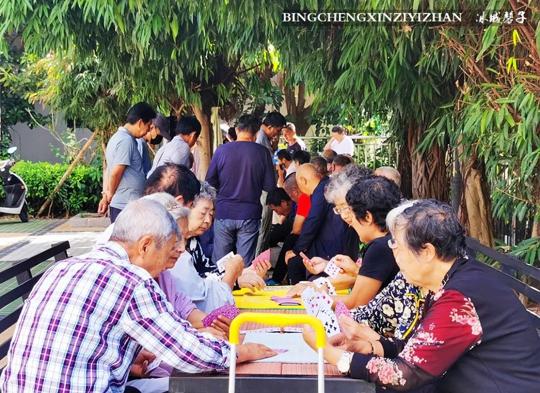 旅居海南：九所新区的浪漫情